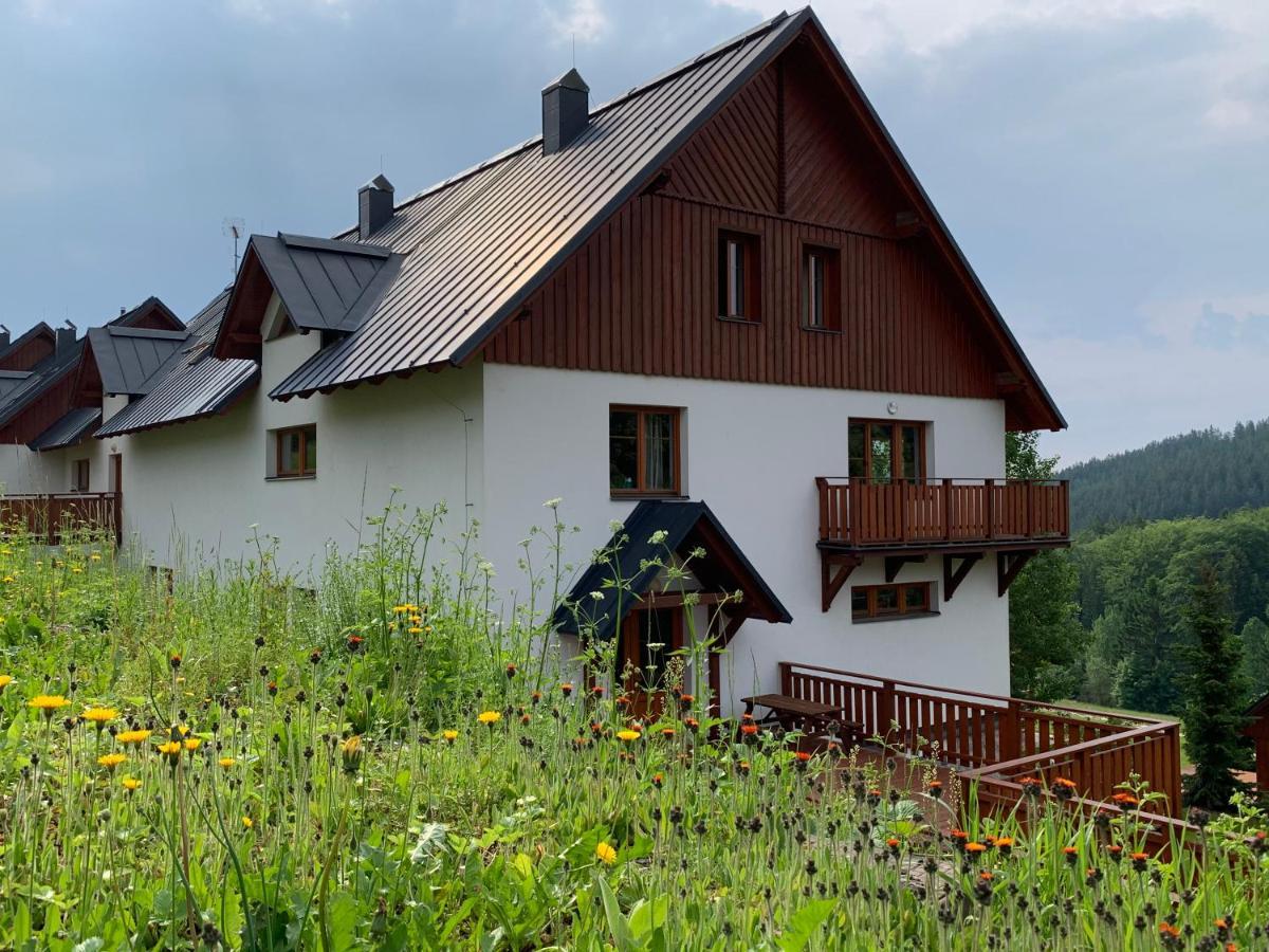 Apartmany Stare-Hory Krkonose Roudnice Exterior photo